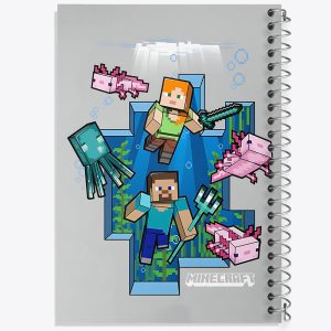 دفتر ماینکرافت (Minecraft)