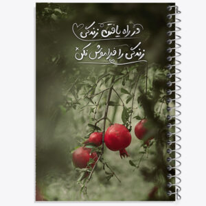 دفتر انگیزشی