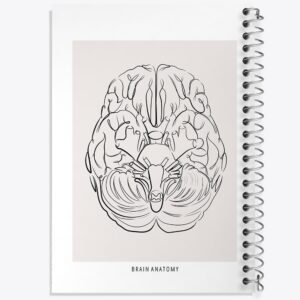 دفتر آناتومی مغز (Brain Anatomy)