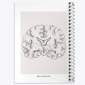 دفتر آناتومی مغز (Brain Anatomy)