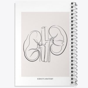 دفتر آناتومی کلیه ها (kidneys Anatomy)