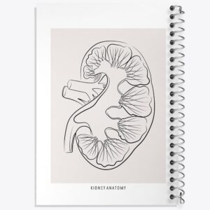 دفتر آناتومی کلیه (kidney Anatomy)