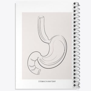 دفتر آناتومی معده (Stomach Anatomy)