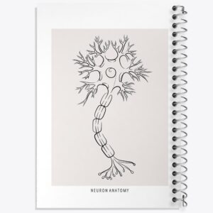 دفتر آناتومی نورون (Neuron Anatomy)
