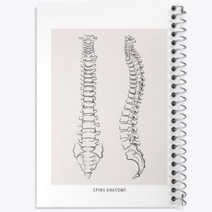 دفتر آناتومی ستون فقرات (Spine Anatomy)