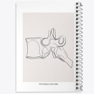 دفتر آناتومی مهره ها (Vertebrae Anatomy)