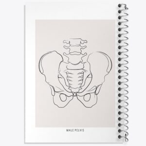 دفتر آناتومی لگن (Pelvis Anatomy)