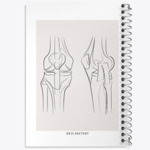 دفتر آناتومی زانو (knee Anatomy)