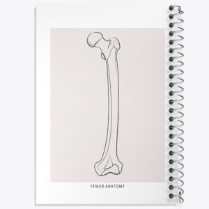 دفتر آناتومی استخوان ران (Femur Anatomy)