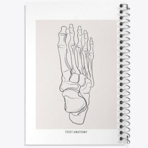 دفتر آناتومی پا (Foot Anatomy)