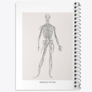 دفتر سیستم عصبی (Nervous System)