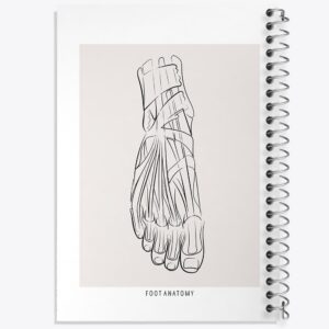 دفتر آناتومی پا (Foot Anatomy)