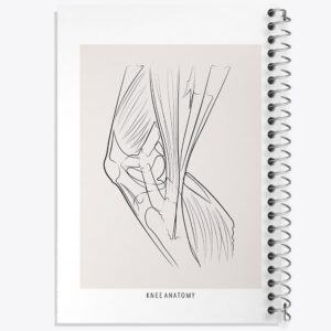 دفتر آناتومی زانو (Knee Anatomy)
