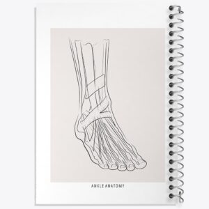 دفتر آناتومی مچ پا (Ankle Anatomy)