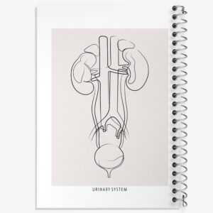 دفتر سیستم ادراری (Urinary System)