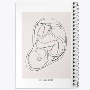 دفتر جنین (Fetus In Utero)