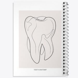 دفتر آناتومی دندان (Tooth Anatomy)