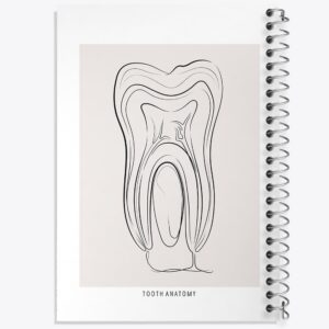 دفتر آناتومی دندان (Tooth Anatomy)