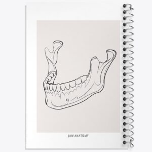 دفتر آناتومی فک (Jaw Anatomy)
