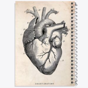 دفتر آناتومی قلب (Heart Anatomy)