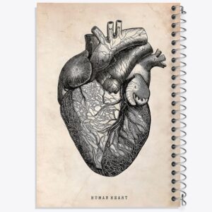 دفتر آناتومی قلب (Heart Anatomy)