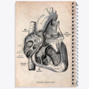دفتر آناتومی قلب (Heart Anatomy)