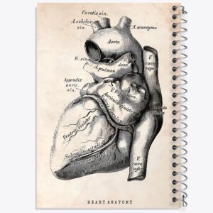 دفتر آناتومی قلب (Heart Anatomy)