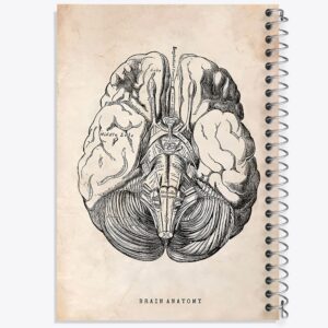 دفتر آناتومی مغز (Brain Anatomy)