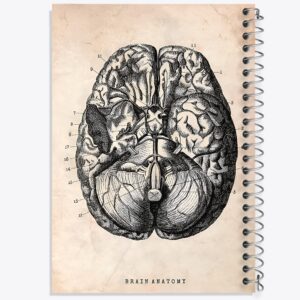 دفتر آناتومی مغز (Brain Anatomy)