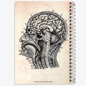 دفتر آناتومی مغز (Brain Anatomy)