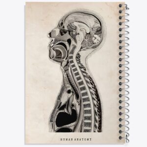 دفتر آناتومی انسان (Human Anatomy)