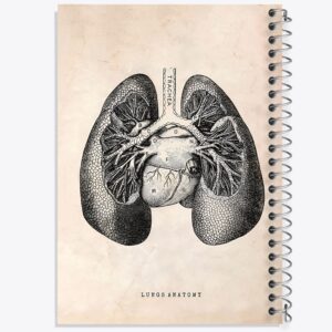 دفتر آناتومی ریه ها (Lungs Anatomy)