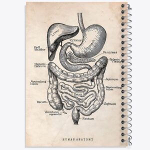 دفتر آناتومی انسان (Human Anatomy)