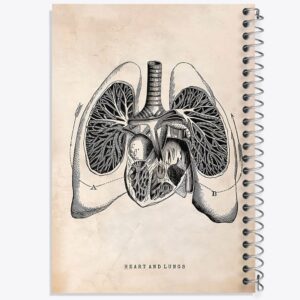 دفتر آناتومی قلب (Heart Anatomy)