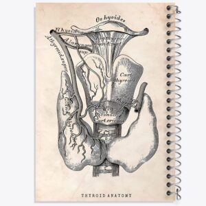 دفتر آناتومی تیروئید (Thyroid Anatomy)