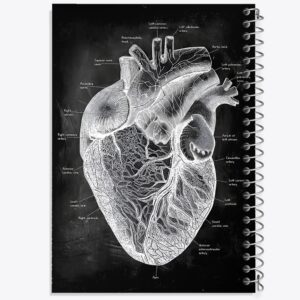 دفتر آناتومی قلب (Heart Anatomy)