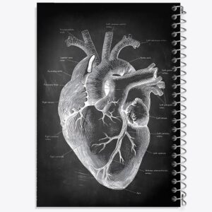 دفتر آناتومی قلب (Heart Anatomy)