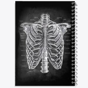 دفتر آناتومی قفسه سینه (Rib Cage Anatomy)