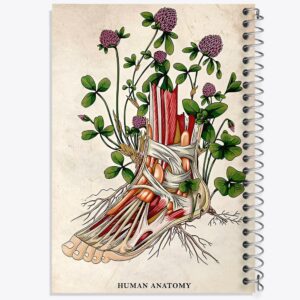 دفتر آناتومی پا (Foot Anatomy)