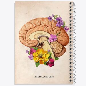 دفتر آناتومی مغز (Brain Anatomy)