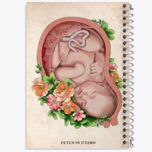 دفتر جنین (Fetus In Utero)