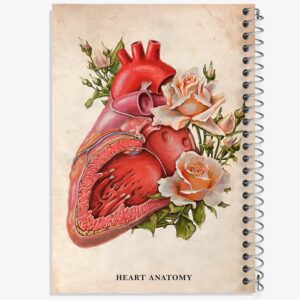 دفتر آناتومی قلب (Heart Anatomy)