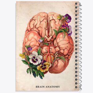 دفتر آناتومی مغز (Brain Anatomy)
