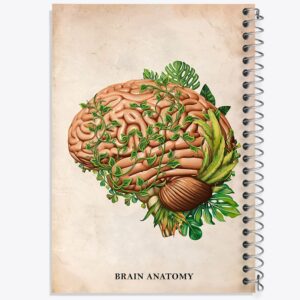 دفتر آناتومی مغز (Brain Anatomy)