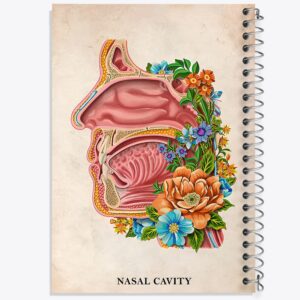 دفتر حفره بینی (Nasal Cavity)