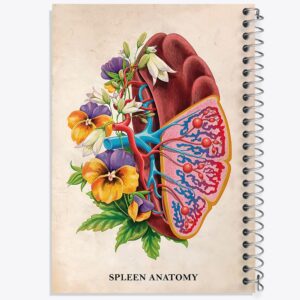 دفتر آناتومی طحال (Spleen Anatomy)