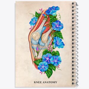 دفتر آناتومی زانو (Knee Anatomy)