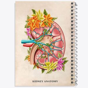 دفتر آناتومی کلیه (kidney Anatomy)
