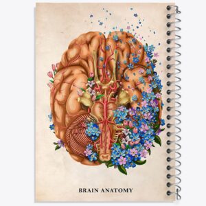 دفتر آناتومی مغز (Brain Anatomy)