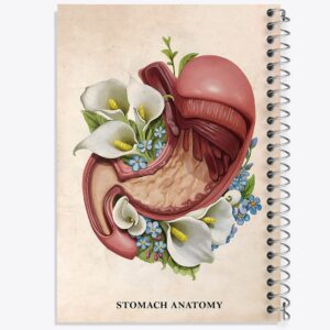 دفتر آناتومی معده (Stomach Anatomy)